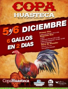 COPA HUASTECA DIC 2014