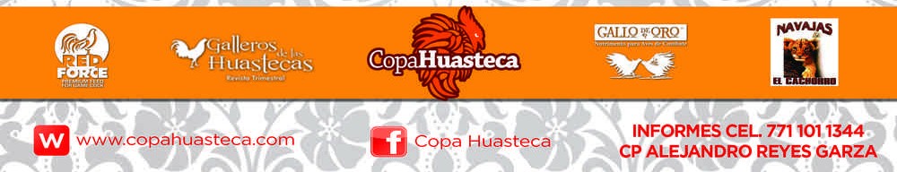 Promotores Copa Huasteca 2016